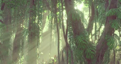 Sunlight Rays in Lush Jungle Forest Background