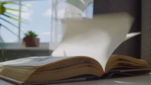 Book Pages Turning by Sunny Window on Table