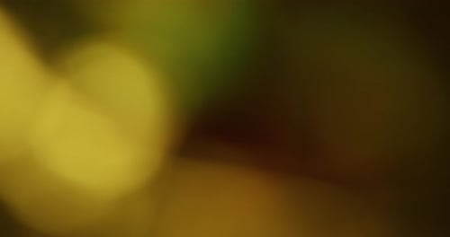 Blur Film Burn Leak Lens Reflection Yellow Texture