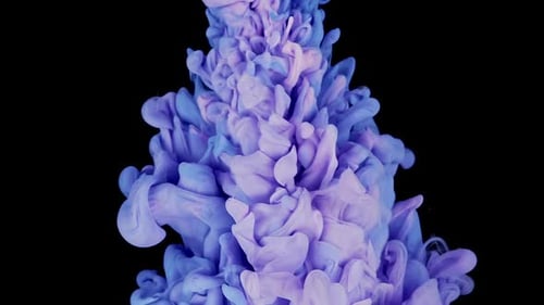 Ink Dreams Faszinierende lila rosa Farbwirbel auf schwarzer Leinwand