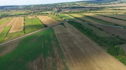Drone flying above agriculture field. Aerial view