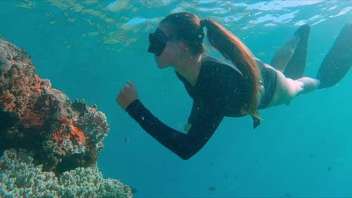 Woman Freediver Enjoys Swimming on the Reef Young Female Freediver Swims Underwater and Explores the