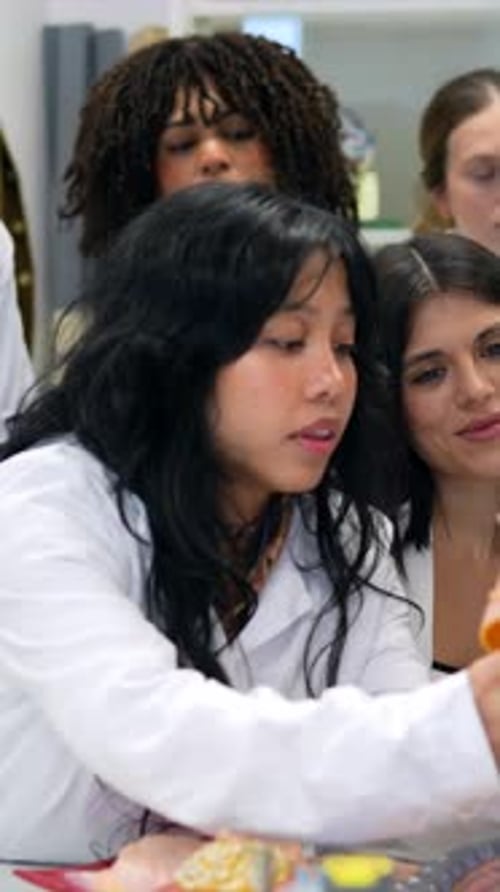 Medical Students Studying Anatomy Model in University Lab