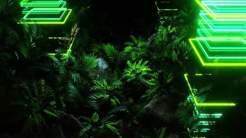 Jungle Lifestyle 04 4K