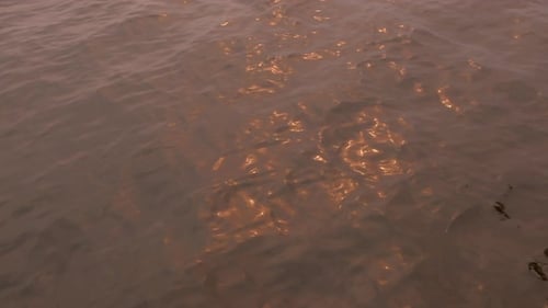 Golden Light Shimmers on Gentle Ocean Waves