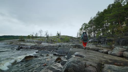 Young Woman Tourist Walking On Big Stones On Shore Of River Near Beautiful Pine Forest