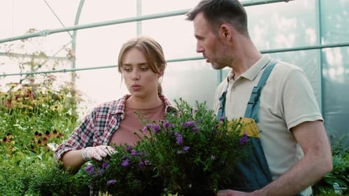 Gardeners Discussing Purple Flowers in Greenhouse
