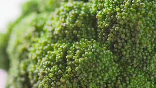 Macro footage of fresh broccoli. Close-up view of green cabbage