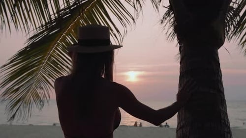 Woman Relaxes on Tropical Island Beach Close Up Woman in Bikini Admire View Under Palm Tree on Sand