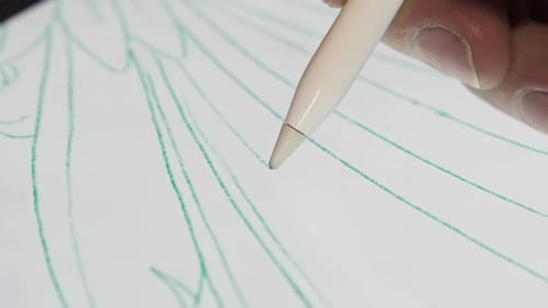 Artist designer drawing sketch line on pro with digital stylus.