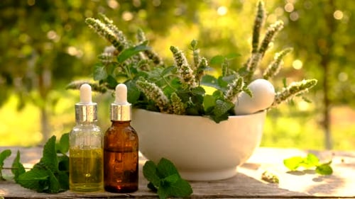 Mint Sprigs and Essential Oil on Wood