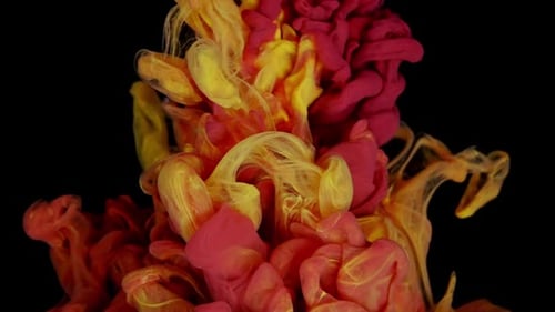 Colorful Paint Mixing in Water Abstract Shot