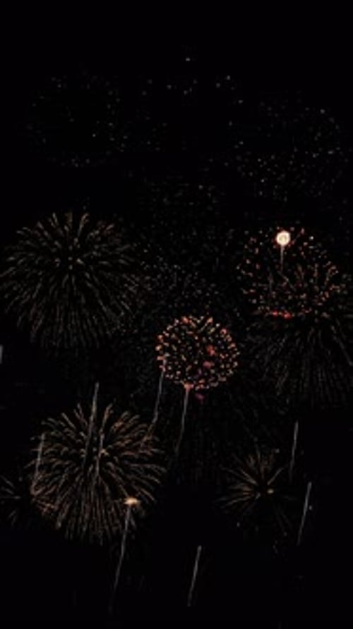 Vibrant Fireworks Exploding on Black for Celebrations