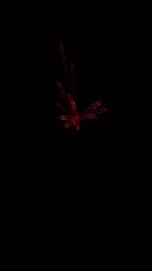 Abstract Particle Burst Reveal Animation