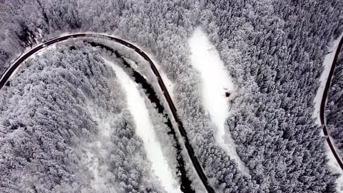 Car Driving Down Winter Road and Forest with Snow Covered Trees Beautiful Winter Landscape