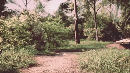 3D Rendered Park Path With Benches Camera Pan