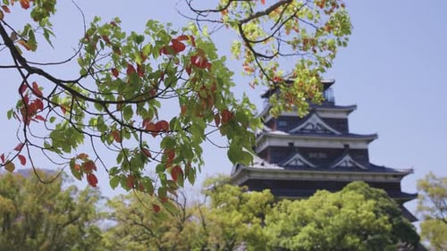 Hiroshima Castle in City Park as Leafs Change Color, Japan