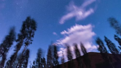Der Wind bewegt die Bäume und der Mond erhellt die Berglandschaft und den dunkelblauen Himmel in der Nacht