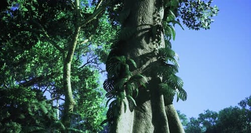 Lush Tropical Tree with Vibrant Green Foliage Under Clear Blue Sky
