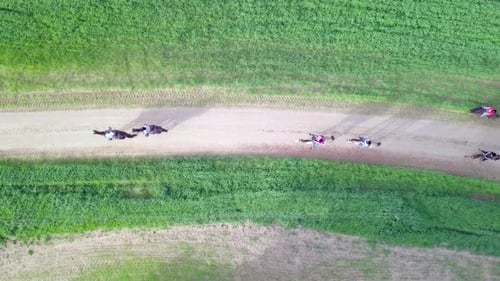 Horseback riding in a green Badlands terrain, aerial footage