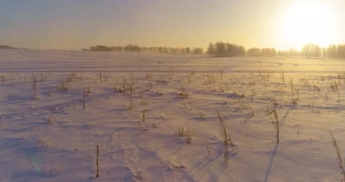 Aerial Drone View of Cold Winter Landscape with Arctic Field Trees Covered with Frost Snow and