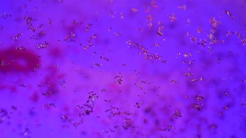 Sparkling Glitter Particles in Vibrant Purple Fluid Motion