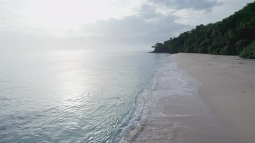 Drohnenaufstieg mit tropischem Dschungel, Kokospalmen und weißem Strand