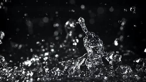 Splashing Water Droplets on a Black Background in Detail