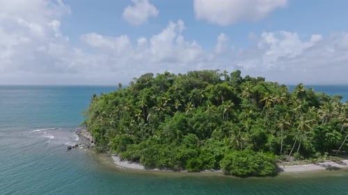 Islote tropical aislado en la bahía de Samaná con un exuberante bosque en República Dominicana. Toma aérea