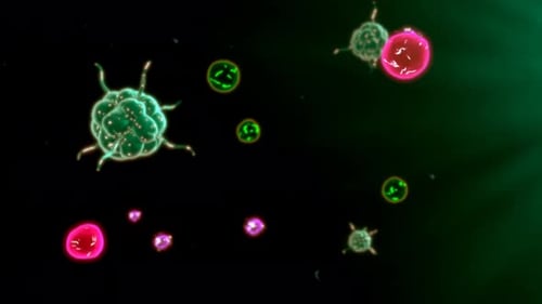 Microscopic view of viruses and cells in a dark field