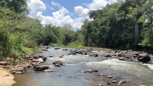 footage of naturally beautiful flowing river water