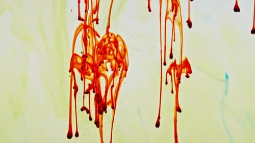 Mixing Paint Oil Drops Abstract Colorful Color Ink Liquid Paint Mixing Backdrop