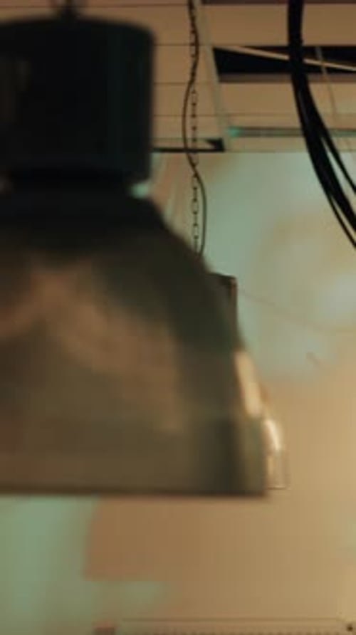 Person Coding Intensively at Night Under Wires