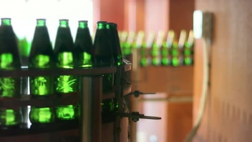Beer Bottles Moving on Conveyor Belt at Beer Factory. Green Bottles On