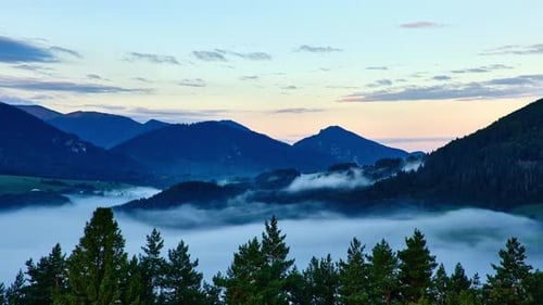 Slow Moving Fog Clouds in Mountain Valley Peaceful Nature Forest Time Lapse