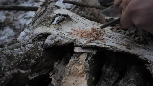 Starting Fire with Flint on Birch Bark in Winter
