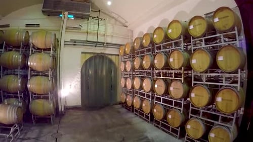 Maturation cellar at wine farm