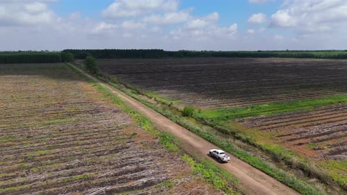 Dirt road cutting through a vast deforestation farmland landscape with a moving white van.