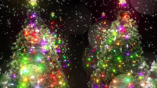 Sparkling Christmas Trees with Falling Snow and Twinkling Lights