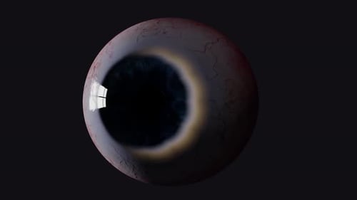 Close-up of human eye with visible blood vessels and black pupil