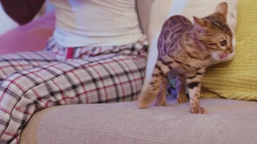 Enthusiastic woman plays VR game at home