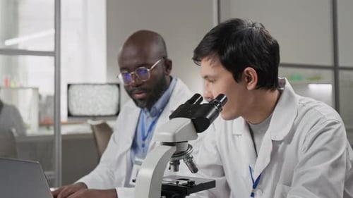 Scientists Working in Modern Laboratory with Microscope