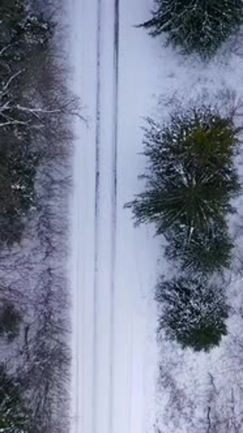 Road in the middle of trees in snowy forest.Traces of a car on a way in winter.