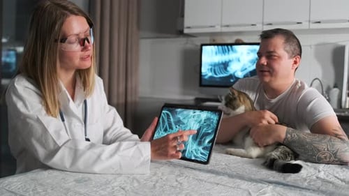 Veterinarian Explains X-Ray to Cat Owner