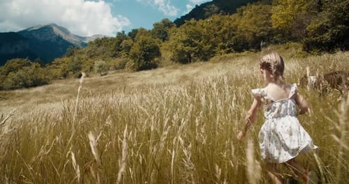Une jeune fille traverse une prairie de montagne dorée et ensoleillée