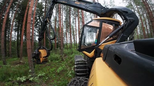 POV gopro shot from Harvester working in nordic woods, shot with DJI Osmo Action 4