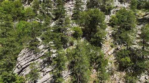 Enchanting Mountain Wonderland Aerial Glance at Majestic Peaks Vibrant Spring Forest and Serene