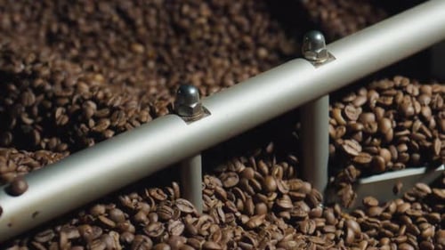 Coffee Beans being Processed in a Roasting Machine