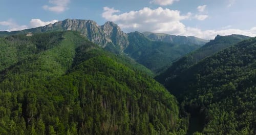 Beautiful Mountain Landscape in Summer Forest and Rocks