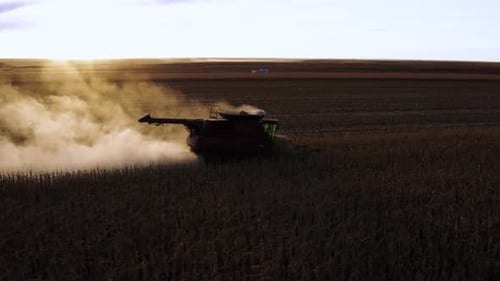 Drone shot of combine harvesting corn in the sunset in Texas